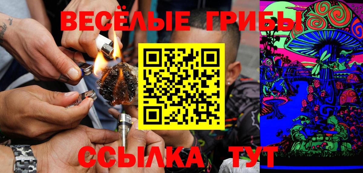 Галлюциногенные грибы Cubensis  Вход с VPN  Тольятти  Псилоцибиновые грибы Psilocybine cubensis 